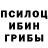 Галлюциногенные грибы Psilocybine cubensis Aleksandr Parafjanovics