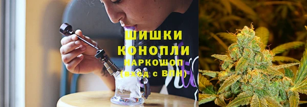 прущие грибы Володарск