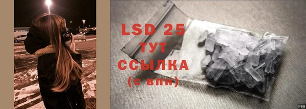 прущие грибы Володарск