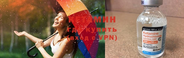 прущие грибы Володарск
