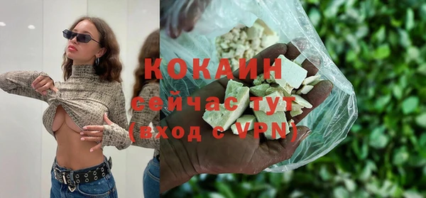 прущие грибы Володарск