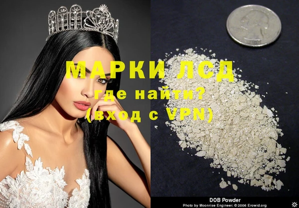 прущие грибы Володарск