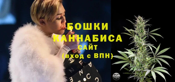 прущие грибы Володарск